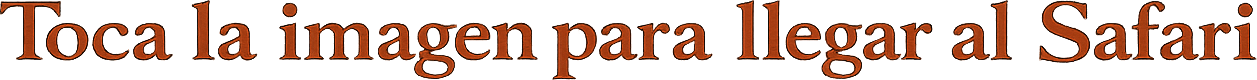 Toca la imagen para llegar al Safari